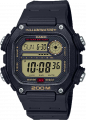 купить часы наручные часы casio collection dw-291h-9a с бесплатной доставкой | Купите часы КАСИО в интернет-магазине дилера CASIO.BAZA